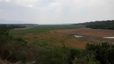 Parque de Economía Circular