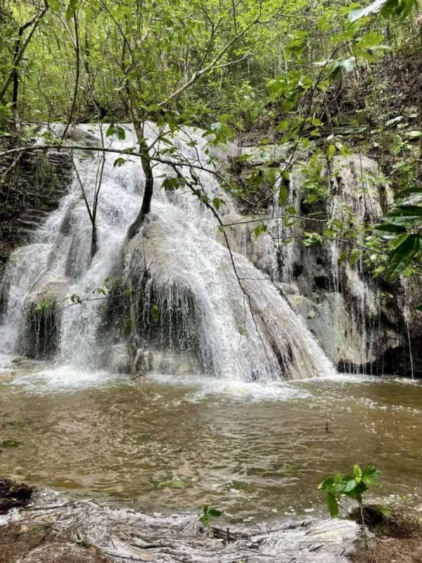 Cascadas en Hidalgo: un resurgir natural tras las lluvias. VIDEOS