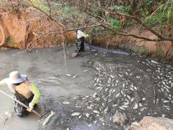 Tras la muerte de miles de peces, ya preparan acciones para recuperar uno de los ecosistemas más importantes de la región
