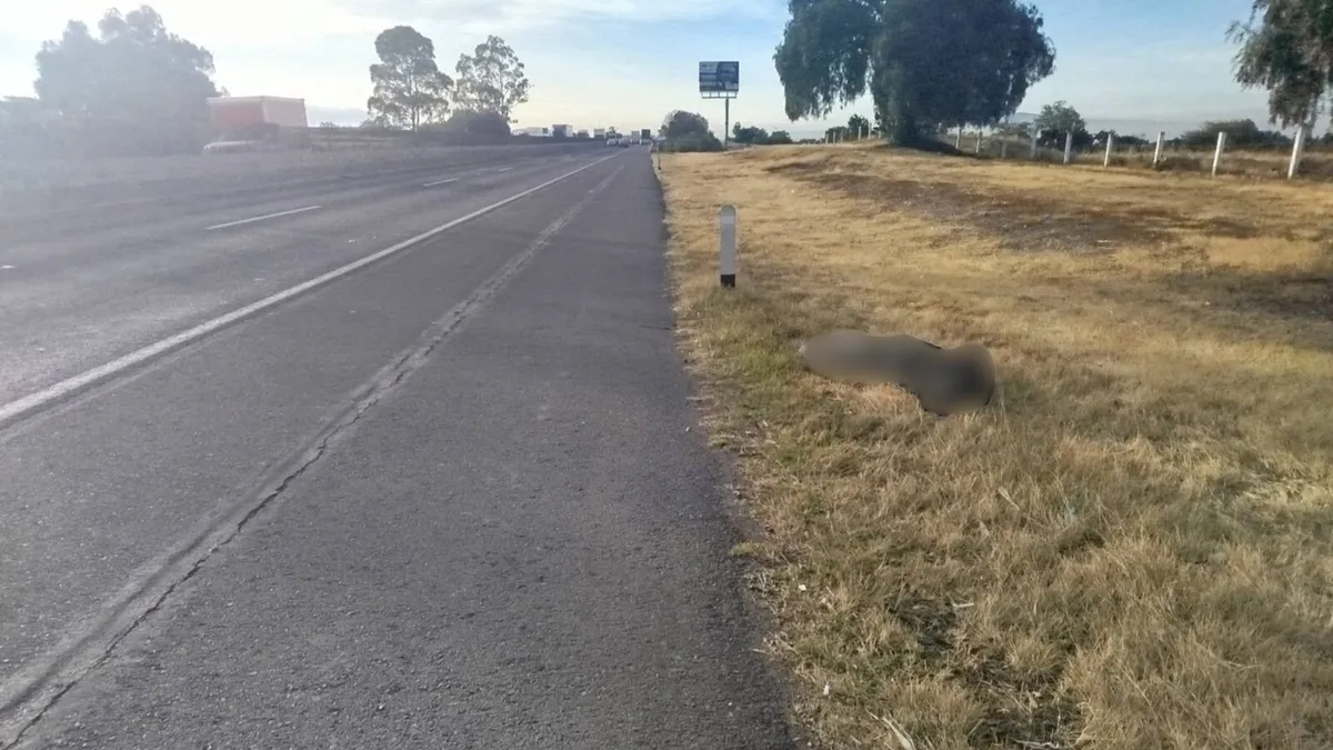 Cuerpo en la México-Pachuca