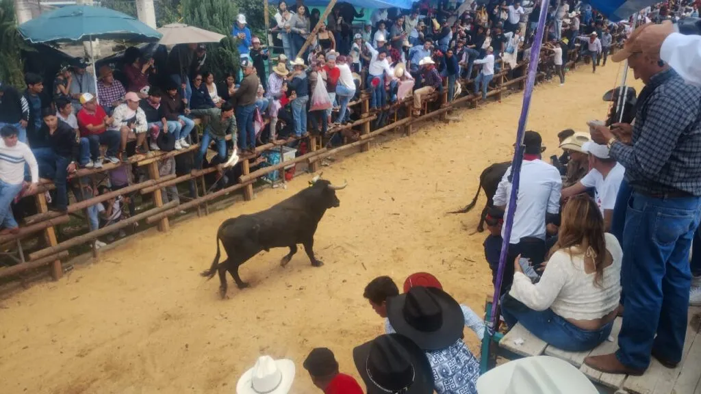 Santiagada bajo debate por bienestar animal y tradición – Parte I