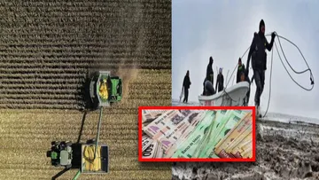 Hidalgo recibirá más de 66 millones para combatir plagas y enfermedades en el campo