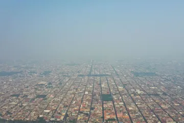 Atitalaquia busca contrarrestar mala calidad del aire con árboles