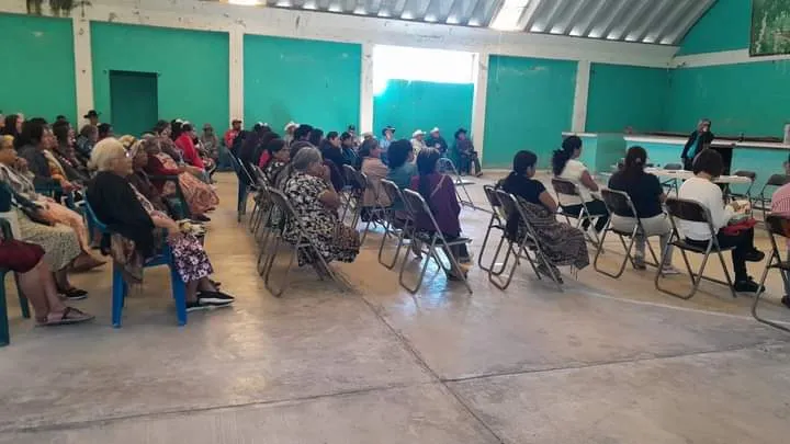 Mujer indígena gana consulta de Morena para contender por Tenango de Doria