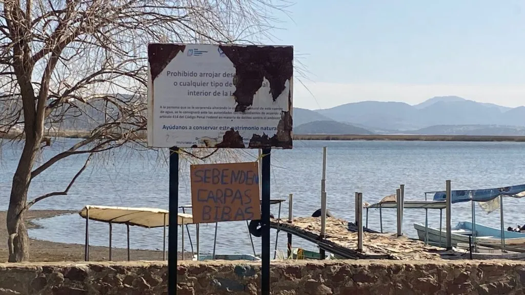 Festival en Apan por Día Nacional del Maíz