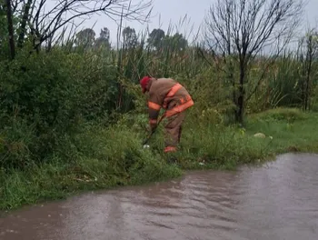 Fuerte lluvia golpea San Salvador: árboles caídos y calles anegadas movilizan a cuerpos de emergencia