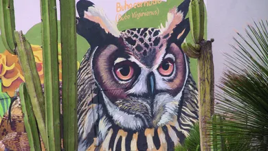 Parque Ecológico de Cubitos