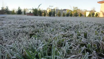Clima Hidalgo: pronostican heladas y hasta -5 grados en zonas altas