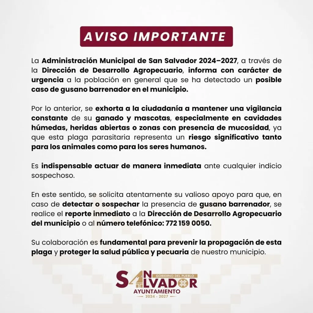 Alertan por posible caso de gusano barrenador en San Salvador: ¿qué significa?