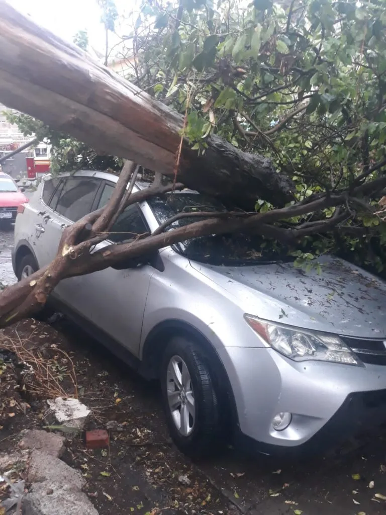 Lluvias provocan caída de árboles, encharcamientos e incendio en Tulancingo