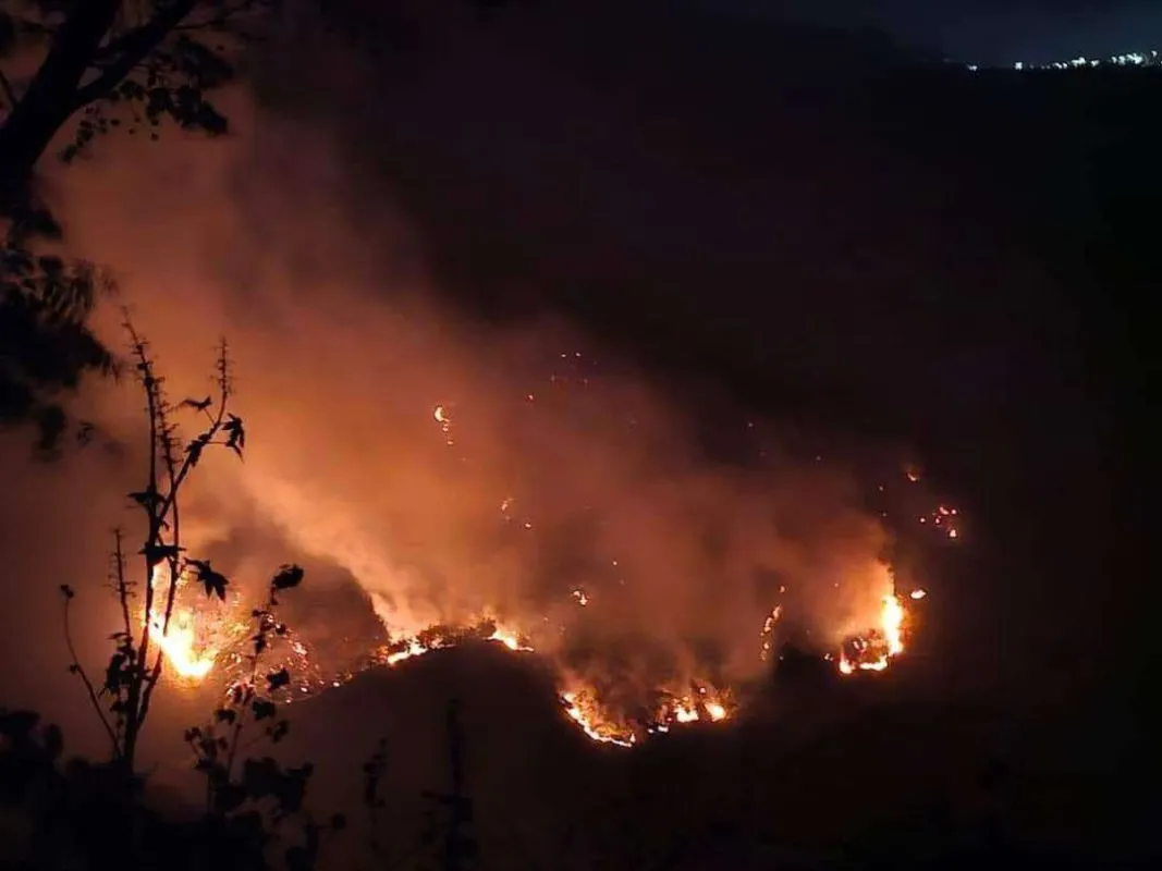 Incendio forestal en Tlanchinol: solicitan ayuda urgente