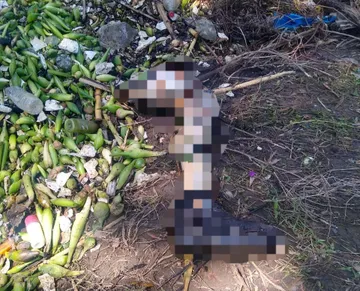 Hallan extremidad humana en Tezontepec de Aldama