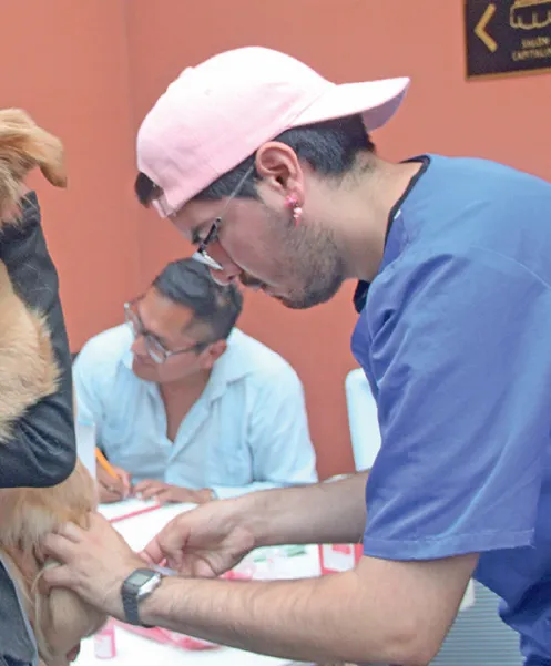 Jornadas de vacunación y esterilización