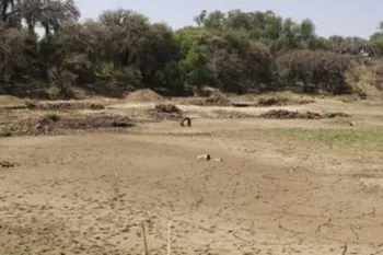 15 municipios con sequía en Hidalgo