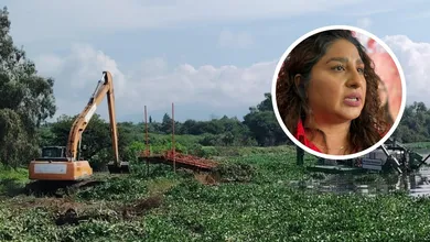 Lirio acuático en la presa Endhó afecta a Tepetitlán