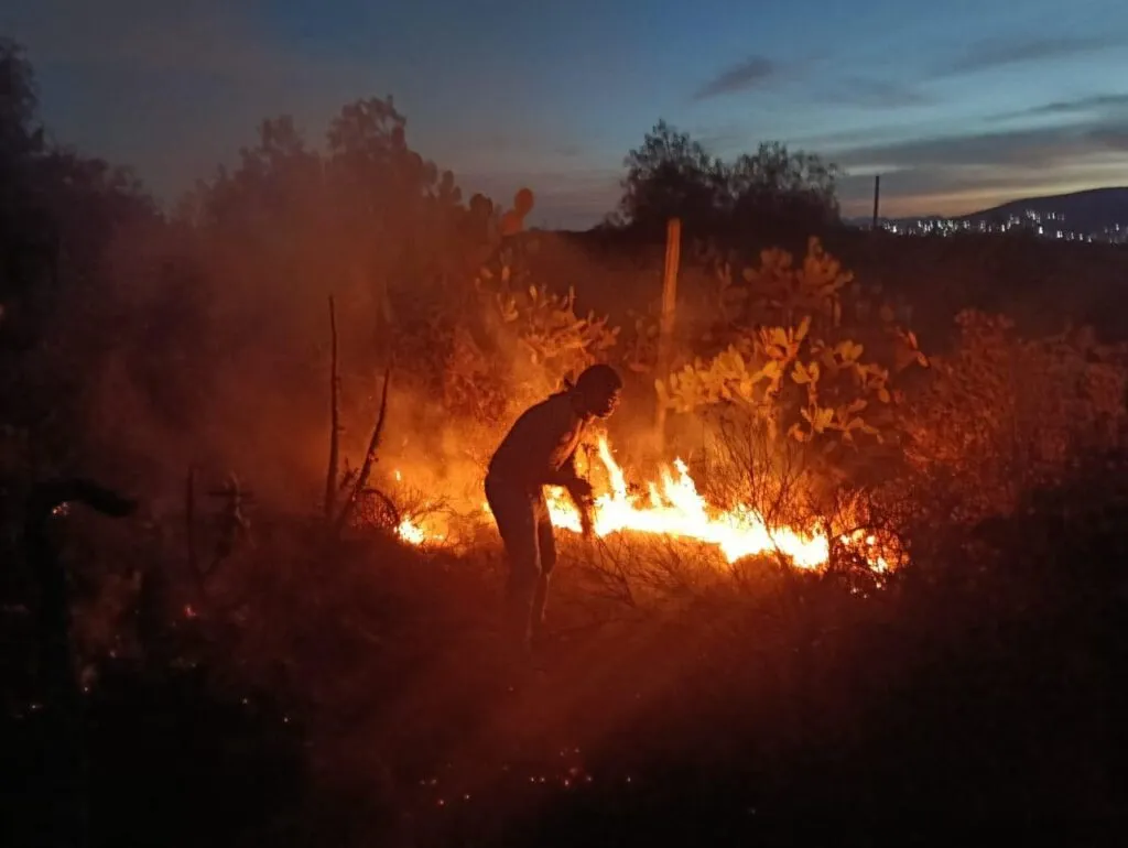 INAH evalúa daños tras incendio en la zona Arqueológica de Tula