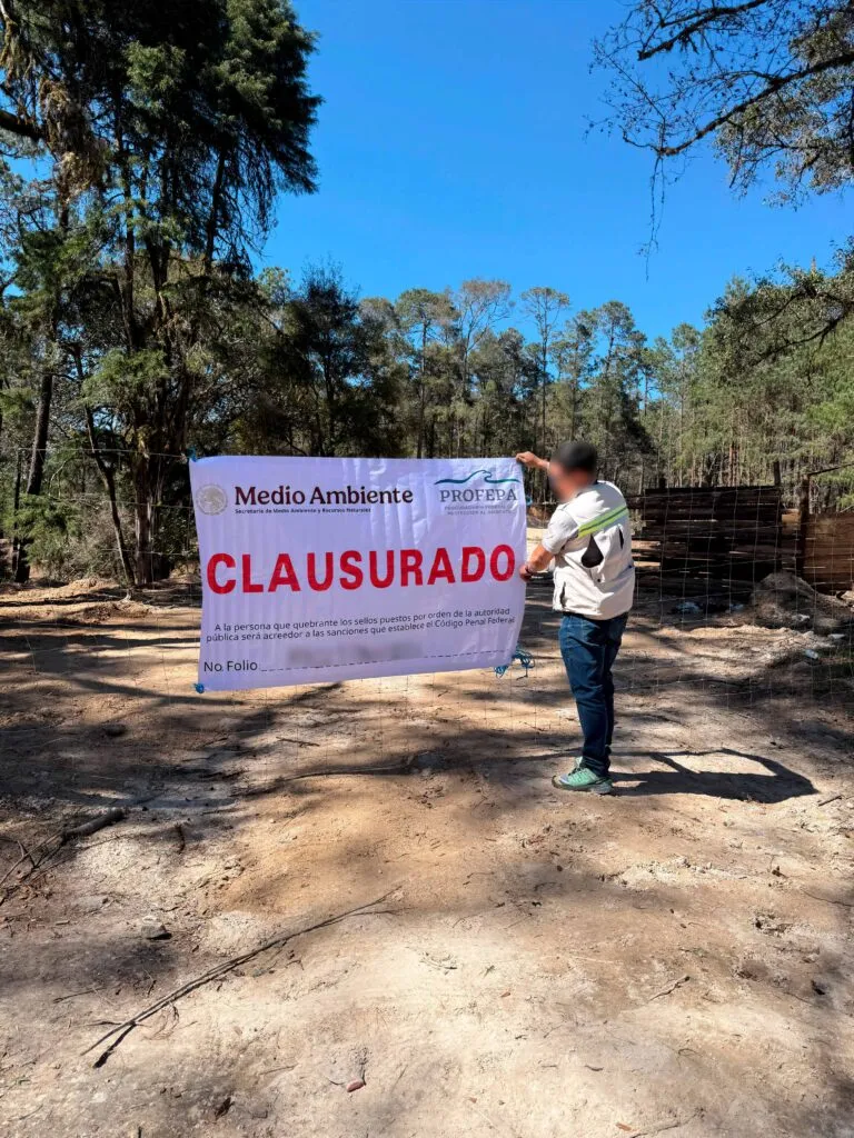 Zacualtipán: Profepa clausura actividades de uso de suelo ilegal