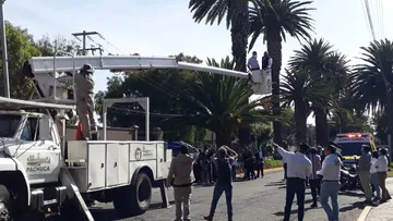 Habrá desvió de tráfico por retiro de palmera en avenida Revolución en Pachuca