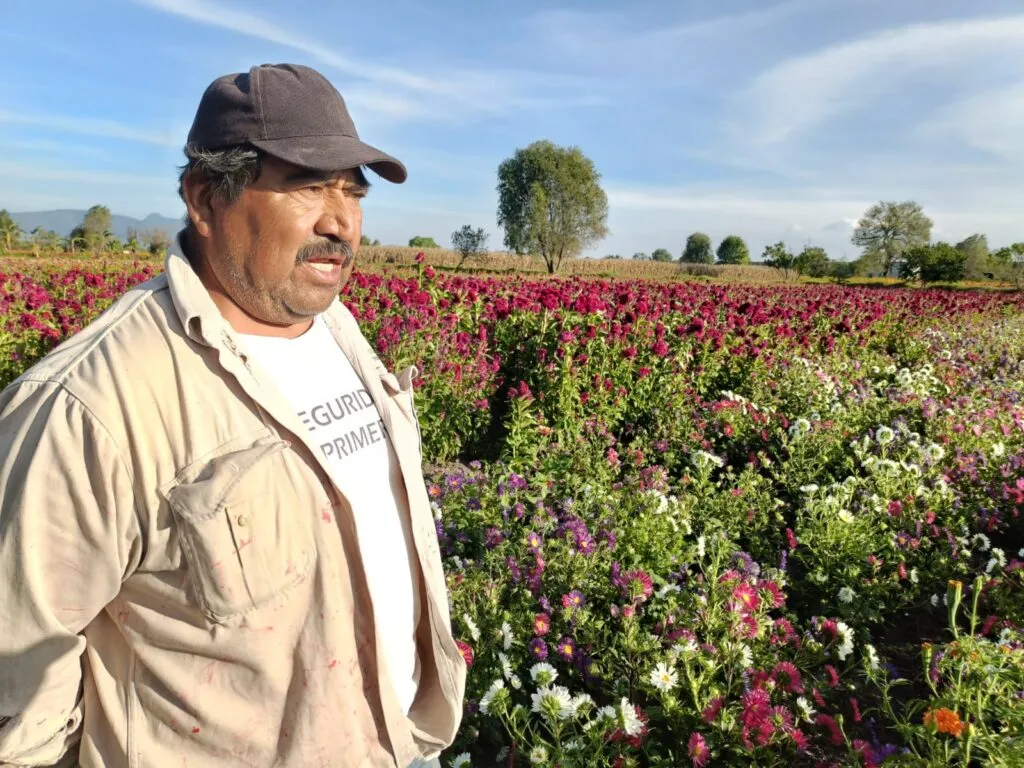 Doxey se llena de color con el Festival de las Flores; arranca la venta para Día de Muertos en Tlaxcoapan