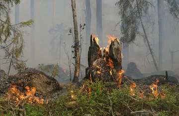 Tulancingo: en marzo, Protección Civil atendió 82 incendios de hierba seca y dos forestales