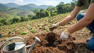 Convocan a jornada de reforestación en Hidalgo