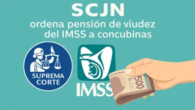 SCJN fija jurisprudencia obligatoria para pensión de viudez a concubinas del IMSS