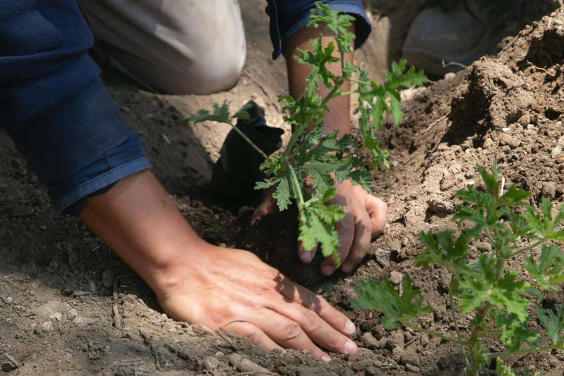 Foro Néctar V: un vistazo al mundo microscópico en Pachuca