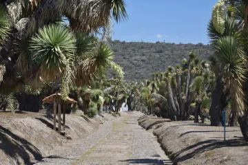 Piden blindar zona ecológica de Cubitos ante posible urbanización