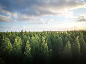 Al menos 100 países firman acuerdo climático
