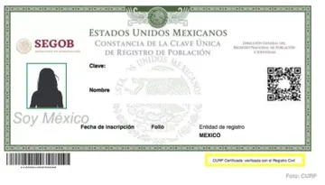 CURP con fotografía: así sería el nuevo documento