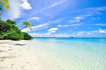 Mexico, segunda potencia mundial en turismo tras Covid 19: Torruco