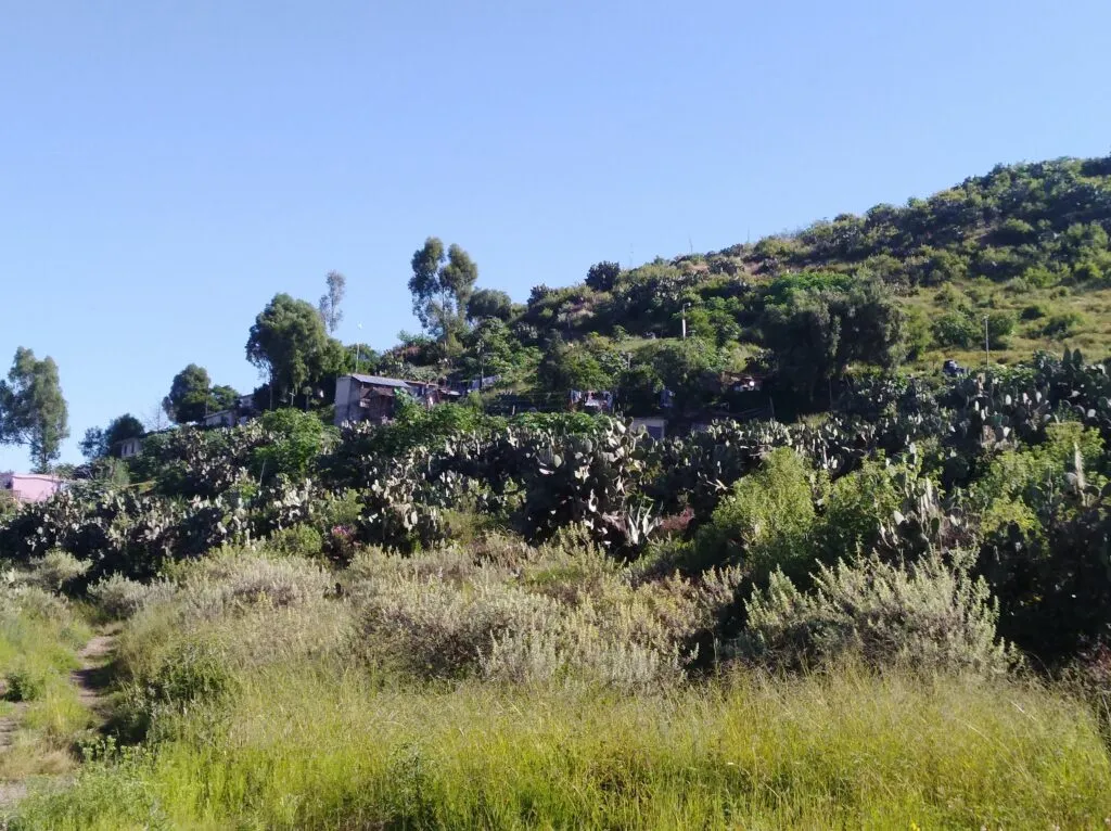 En Huapalcalco, la niñez vive entre vestigios arqueológicos y carencias básicas