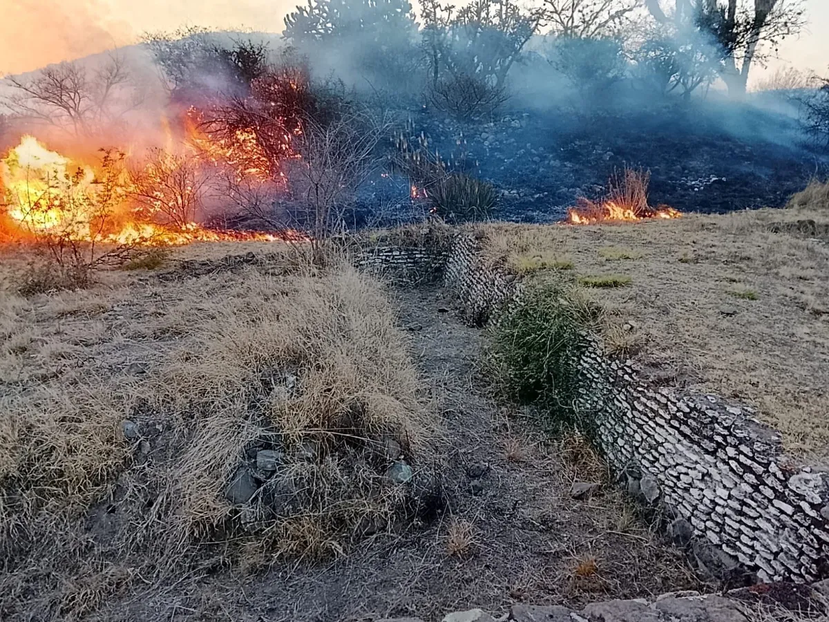 Autoridades revisaron estructuras tras los siniestros; esto fue lo que encontraron