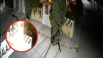 Árbol incendiado