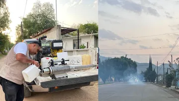 Aplican larvicida y extraen casi 13 mil toneladas de lirio en presa Endhó para controlar mosco cúlex