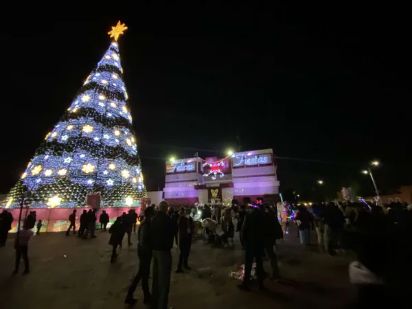 Árbol Navidad Pachuca