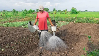 Hombre trabajando en el campo