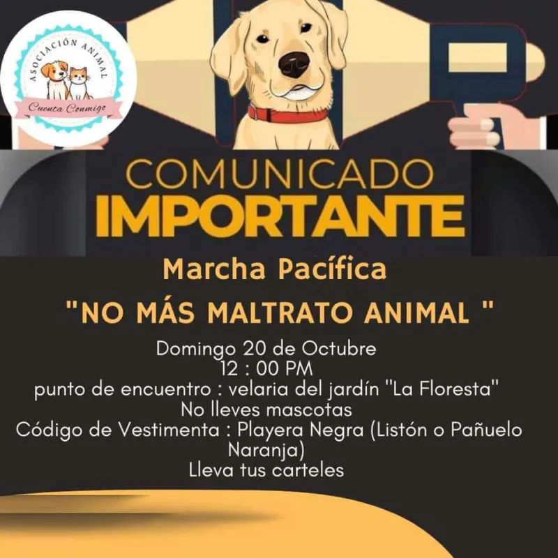 Tulancingo: marcharán en contra del maltrato animal | Fecha y lugar