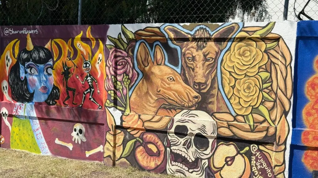 Pachuca se llena de color: más de 50 murales transforman la ciudad