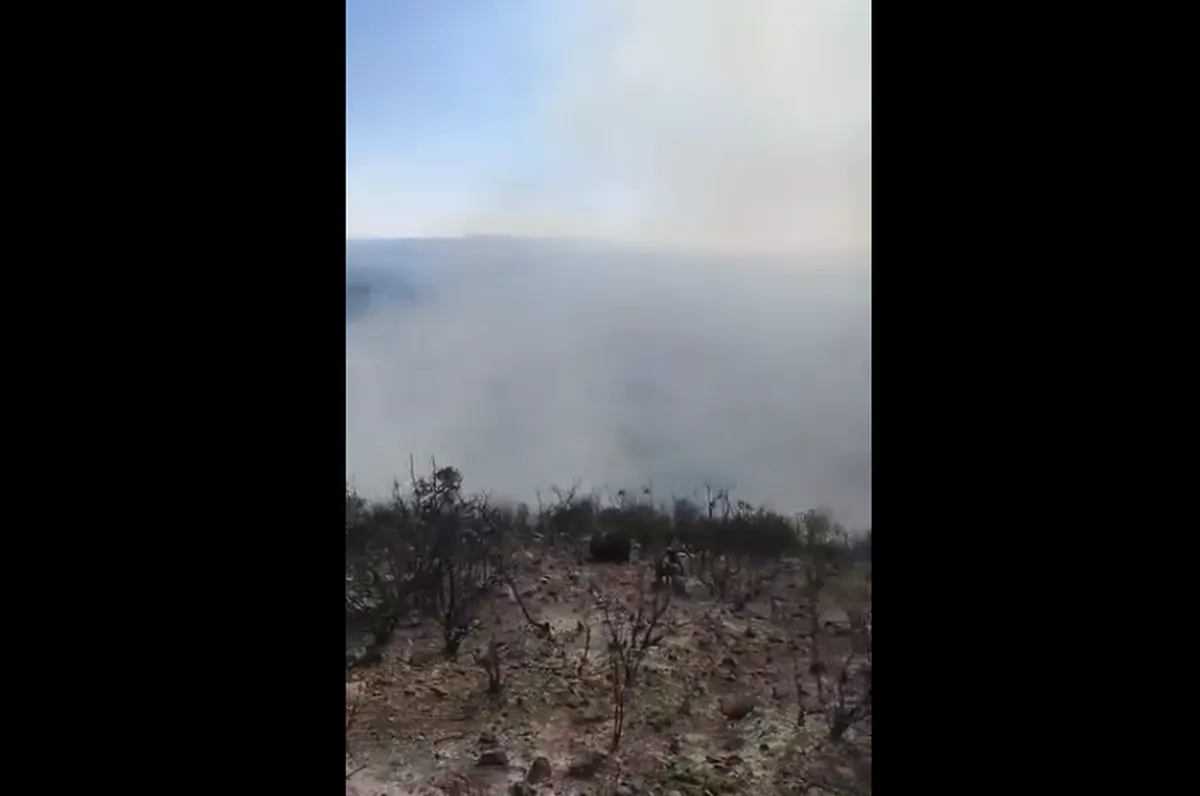 Combaten cuatro incendios forestales en Ixmiquilpan; dos son de gran magnitud
