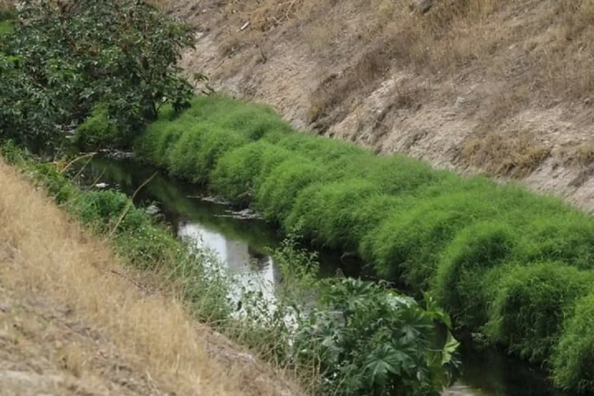 Derrame de combustóleo en el río Papalote de Tizayuca