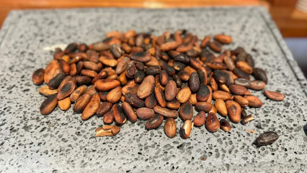 Leonor Rodríguez Gayosso: del campo y la moda, al cacao