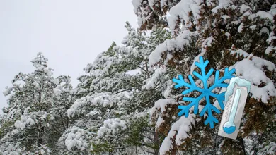 Desde 1 grado a caída de nieve: el Frente Frío 33 genera frío extremo, heladas y posibles nevadas en Edomex y CDMX este 5 y 6 de febrero.