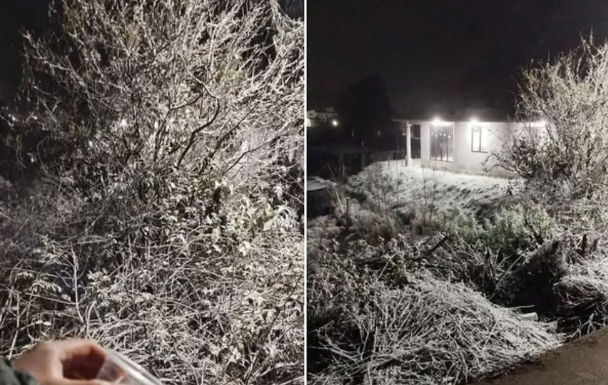 ¡Nieve en Hidalgo! Acaxochitlán y Agua Blanca se pintan de blanco ante bajas temperaturas | VIDEOS