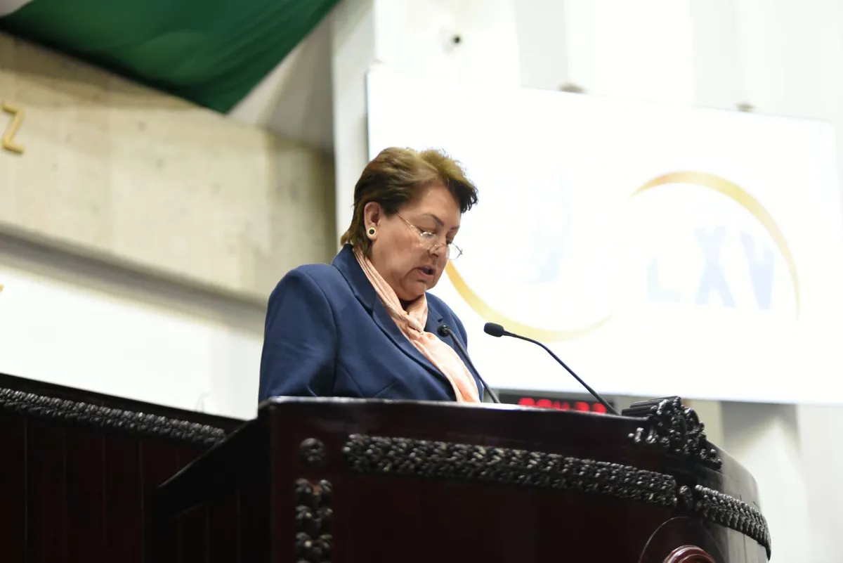 Diputada pide aplicación del protocolo para protección de la infancia en México