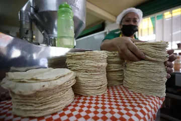 Más del 50% de molinos y tortillerías operan en informalidad: diputada