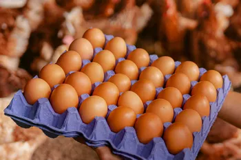 Hay sobreoferta histórica en las granjas, pero el precio del huevo apenas bajó un 2% para los consumidores. Revisa las razones de este fenómeno económico.