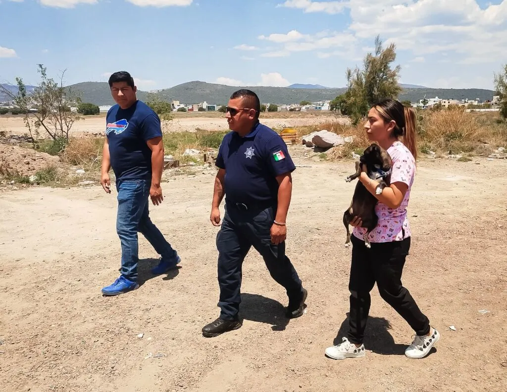 ¡Qué poca! Rescatan a perrita amarrada a semáforo en Pachuca