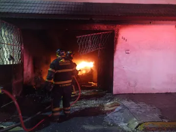 Mueren 14 perros tras incendio provocado por presunto cuete