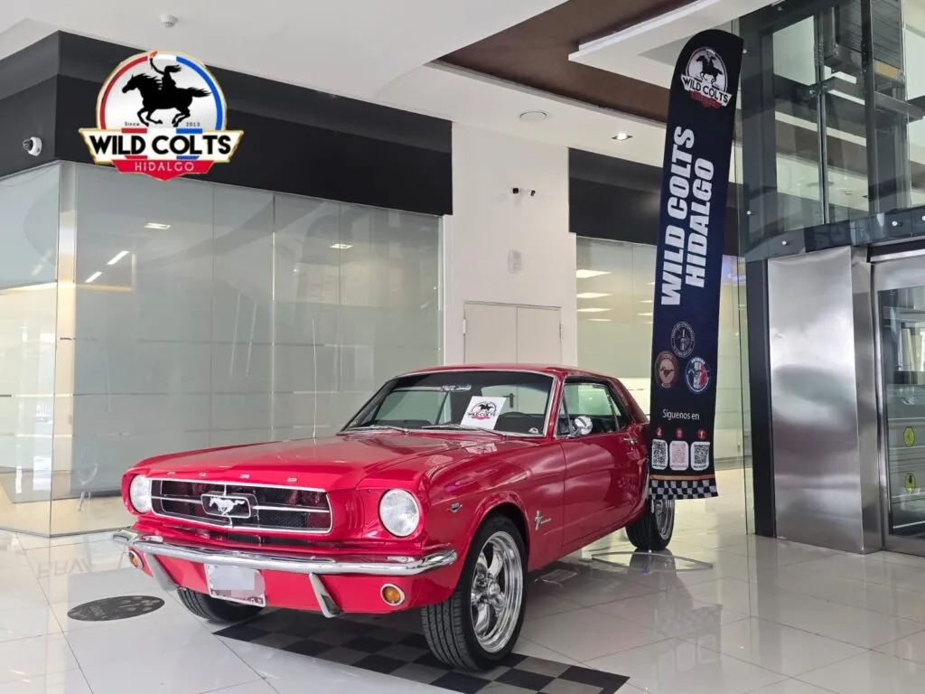 Club Mustang Wild Colts Hidalgo celebrará su XIII Aniversario con cuatro días de actividades en Pachuca y Pueblos Mágicos